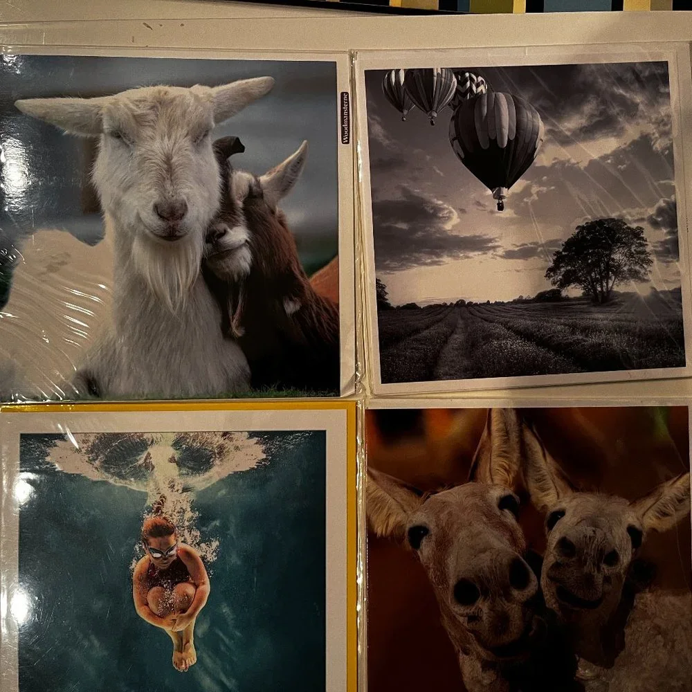 Greeting Cards - Beautiful Photography - Blank‎ (Set of 4 / New)
